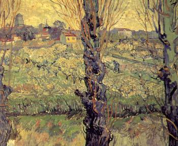 Vincent Van Gogh : Orchard in Bloom with Poplars in the Foreground